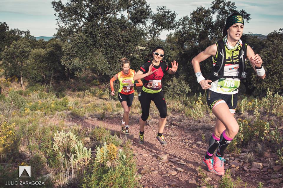 12651350_1069436706410106_1728896531499307441_n